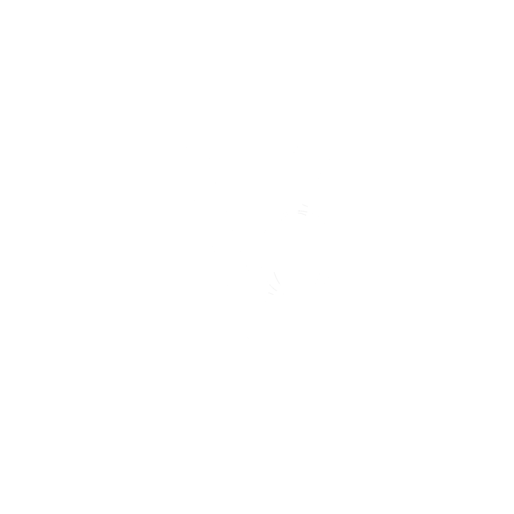 Visionov